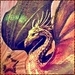 Dragon - magical-creatures icon