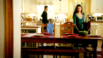  Elena and Damon 1x13