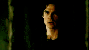  Elena and Damon 1x13