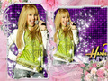 hannah-montana - Hannah Montana Secret Pop Star wallpaper