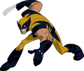 Wolverine - marvel-comics photo