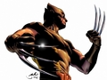 Wolverine - marvel-comics photo