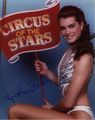 circus of the stars promo - brooke-shields photo