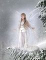 winter fairy - fairies photo