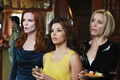 * DH * - desperate-housewives photo