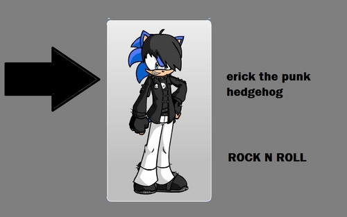  Erick The Punk Hedgehog