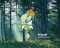Florobi - pokemon photo