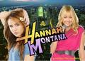 Hannah Montana / Miley Cyrus [4] - hannah-montana photo