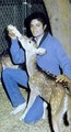 MJ Bottle-Feeding Deer In His Socks!!!! - michael-jackson photo