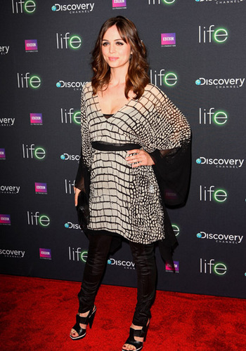 Premiere Screening Of Discovery Channel's ''LIFE'' 