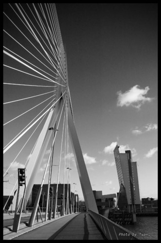  Rotterdam