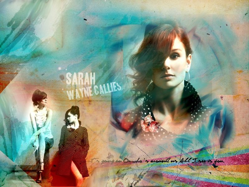 sarah wayne callies wallpaper. Sarah Wayne Callies