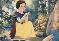 Snow White - disney-princess photo