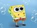 Spongebob....Surprised - spongebob-squarepants icon