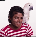 cute MJ - michael-jackson photo