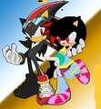 me and shadow in sonic riders - shadow-the-hedgehog photo