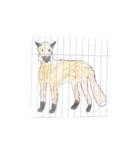  A 狐狸 i drew