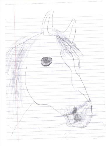  A Horse I drew