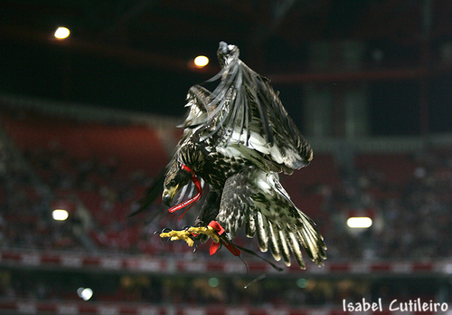  Benfica