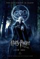 HP & The Deathly Hallows II (POSTER) - harry-potter photo