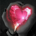 Hearts <3 - love photo