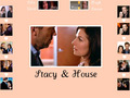 house-md - House&Stacy Wallpaper wallpaper