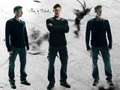 jensen-ackles - Jensen Ackles wallpaper