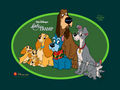 disney-parents - Lady and the Tramp wallpaper