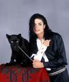 MJ With Young Panther: Large Photo - michael-jackson photo