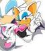 Rouge - sonic-the-hedgehog icon