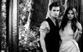 the-vampire-diaries-tv-show - Stefan&Elena wallpaper