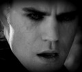 Stefan - vampire-diaries-books photo