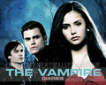 the-vampire-diaries-tv-show - The Vampire Diaries  wallpaper