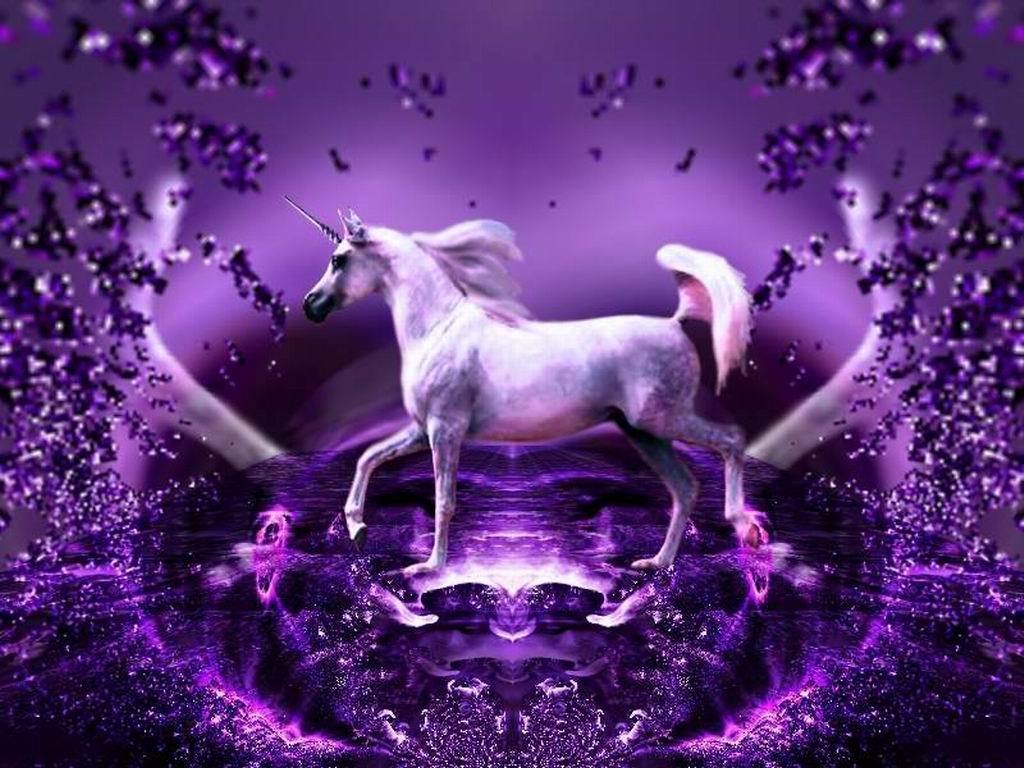 Purple Wonder - Unicorns Wallpaper (10796171) - Fanpop