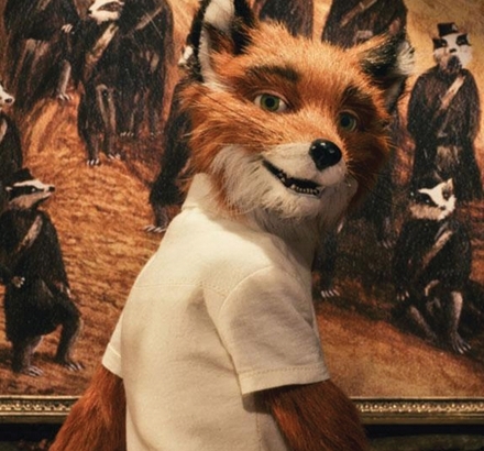  mr rubah, fox