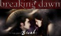 Breaking Dawn - twilight-series fan art
