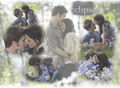 Edward and Bella in the Meadow - twilight-series photo