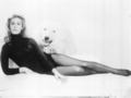 Elizabeth Montgomery - fabulous-female-celebs-of-the-past photo