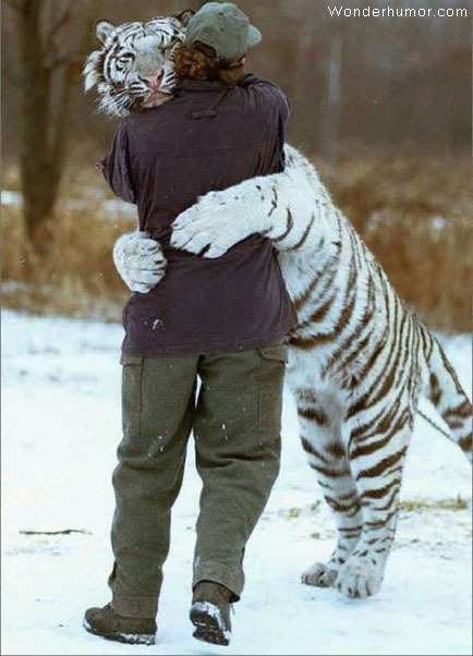 GIVE ME A HUG!!! - Funny Animals Photo (10852149) - Fanpop