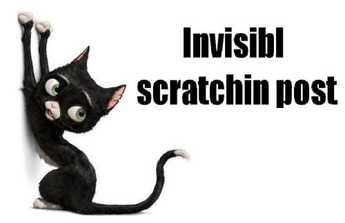  Invisibl Scratchin Post