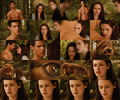 JB in New Moon - jacob-and-bella photo