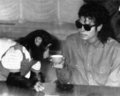 MJ & Bubbles :) - michael-jackson photo