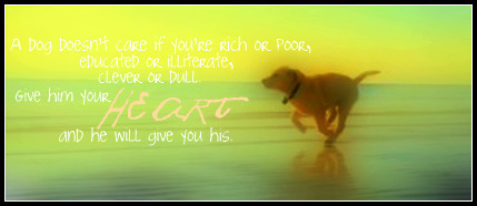 Marley & Me Wallpaper - Marley And Me 2008 Photo (5807697) - Fanpop
