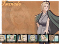 naruto - Naruto Wallpapers wallpaper
