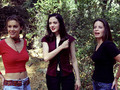 Power of three images. - rose-mcgowan photo