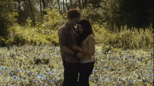 Screencaps from the 10 second "Eclipse Trailer"