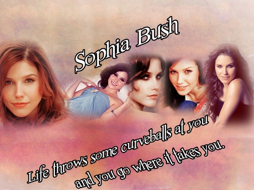 Sophia Bush Wallpaper 