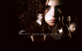 the-vampire-diaries-tv-show - Stefan and Elena Wallpaper wallpaper