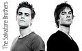 the-vampire-diaries-tv-show - The Salvatore Brothers wallpaper