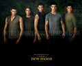 new-moon-movie - wallpapers new moon 1 wallpaper